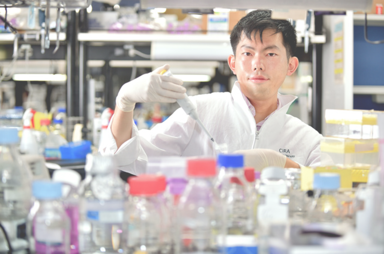 スクリーンショット 2019-07-15 23.18.05