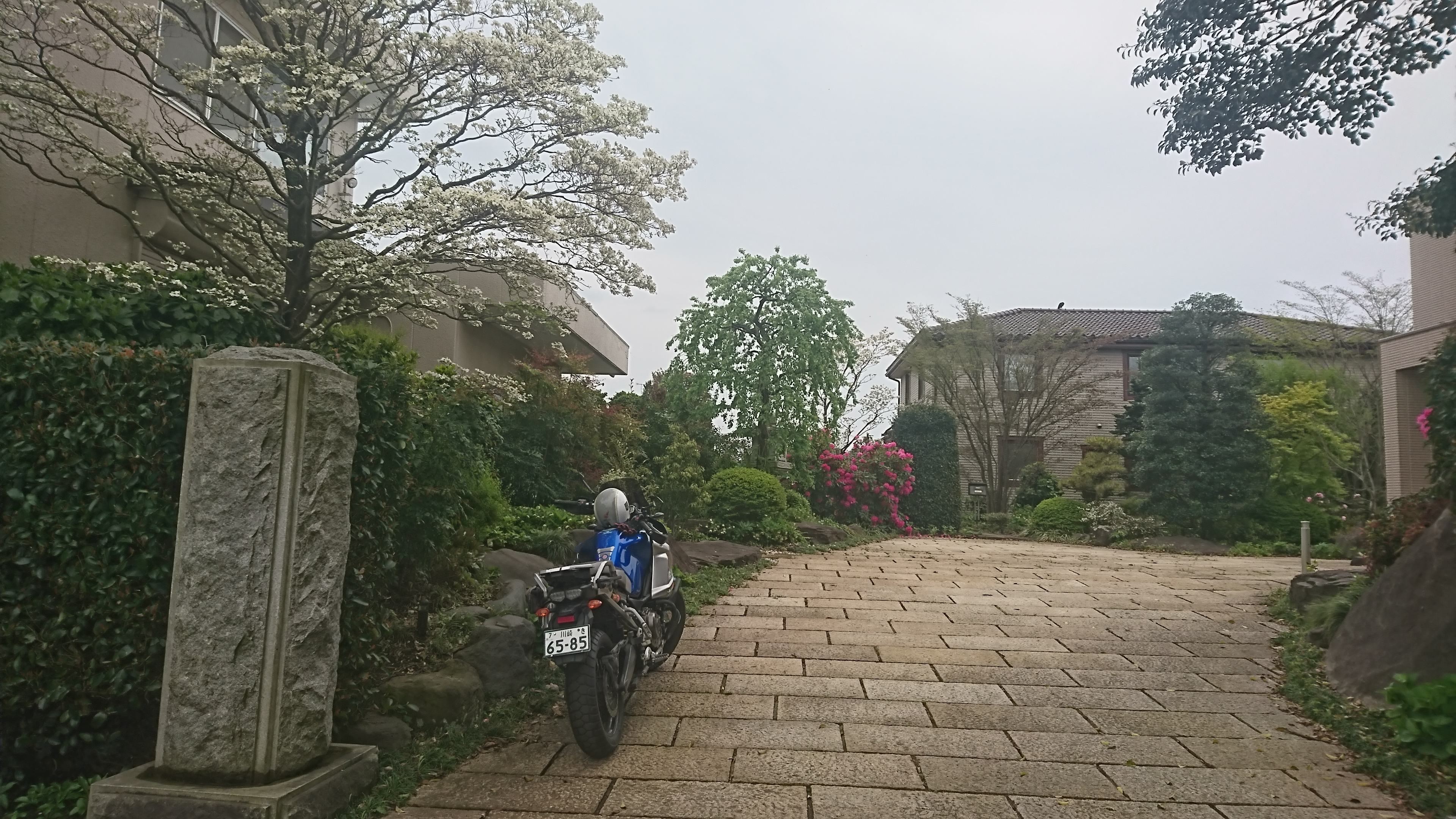 DSC_0371 (2020-04-21T13_15_12.000)